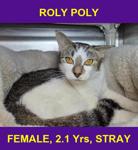 ROLY POLY